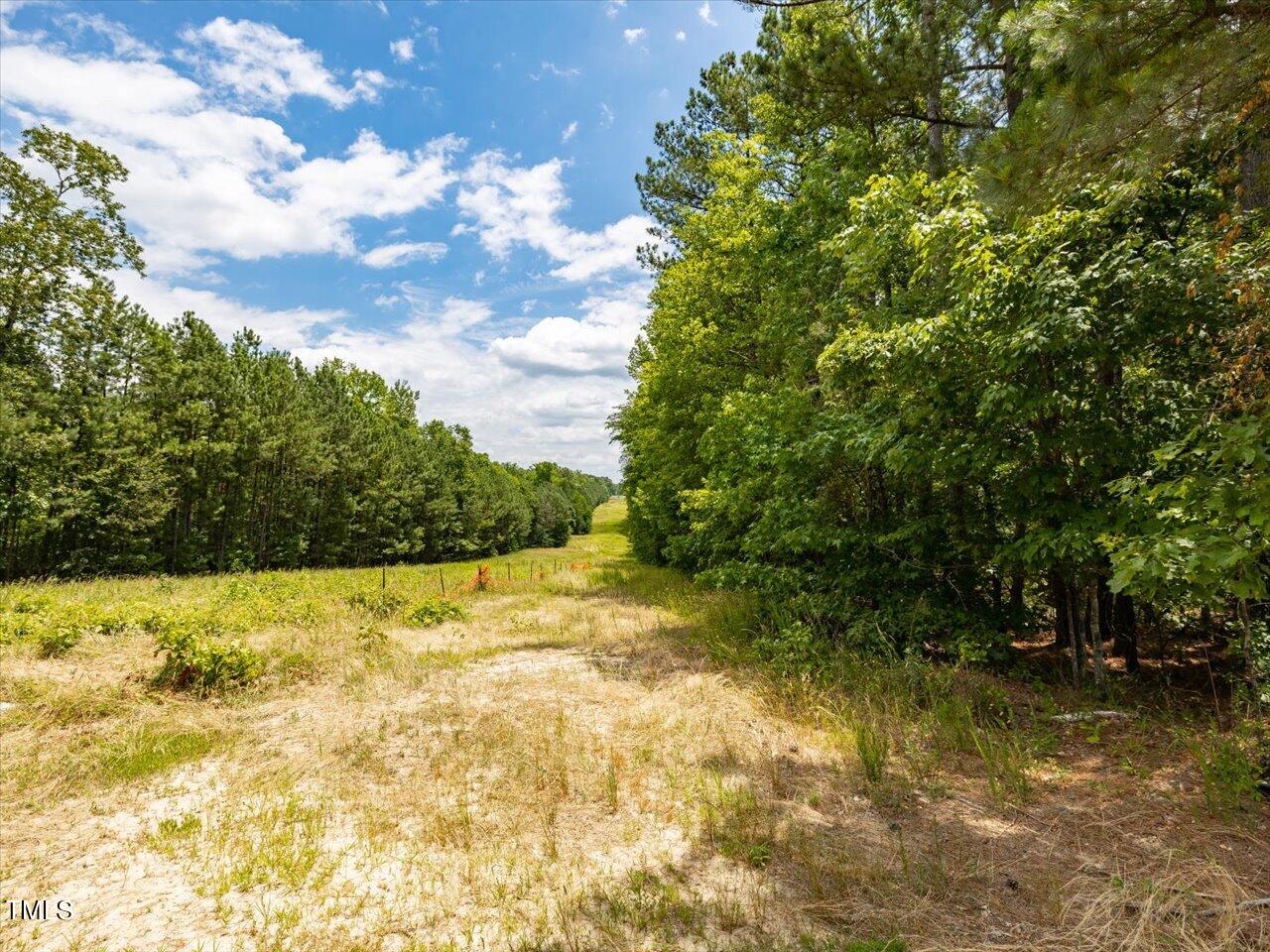 0 J B Morgan Road Apex, NC 27523 - Photo 31 of 39