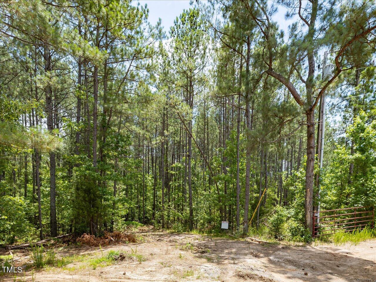 0 J B Morgan Road Apex, NC 27523 - Photo 36 of 39 a view of a yard with plants and trees
