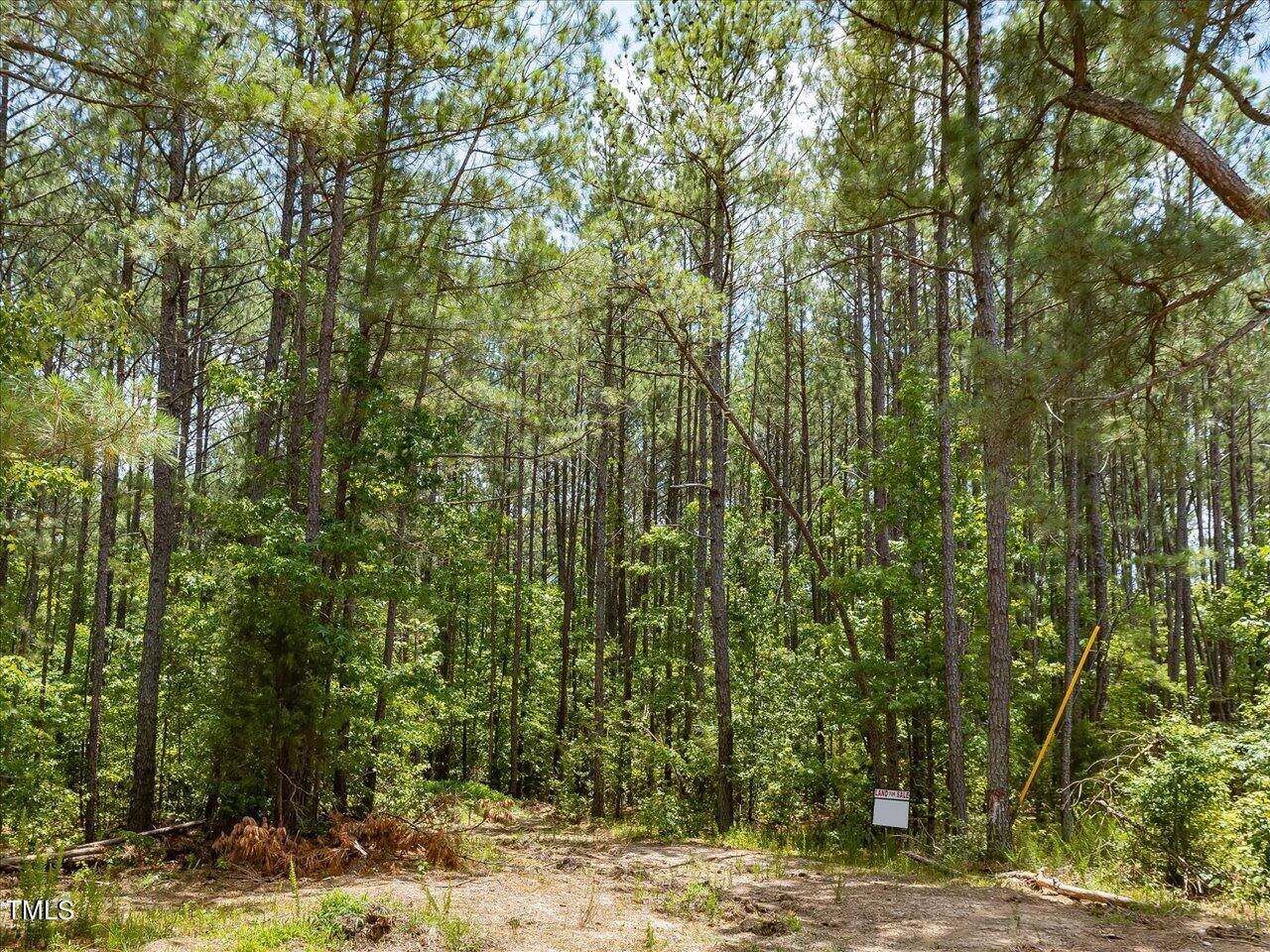 0 J B Morgan Road Apex, NC 27523 - Photo 37 of 39 a view of a plants and trees