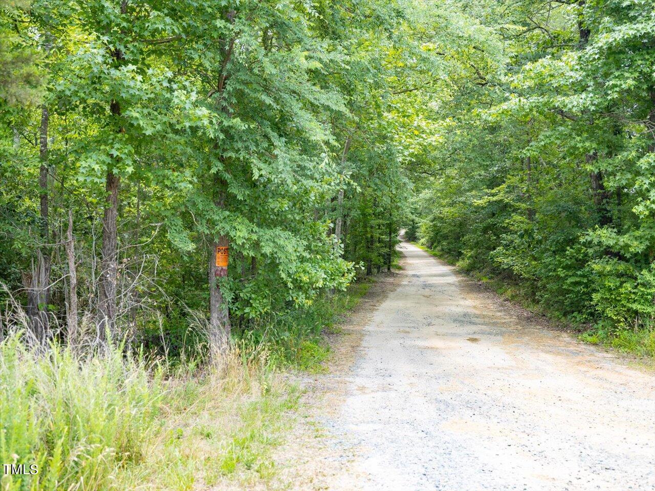 0 J B Morgan Road Apex, NC 27523 - Photo 38 of 39 a view of a yard with plants and large trees
