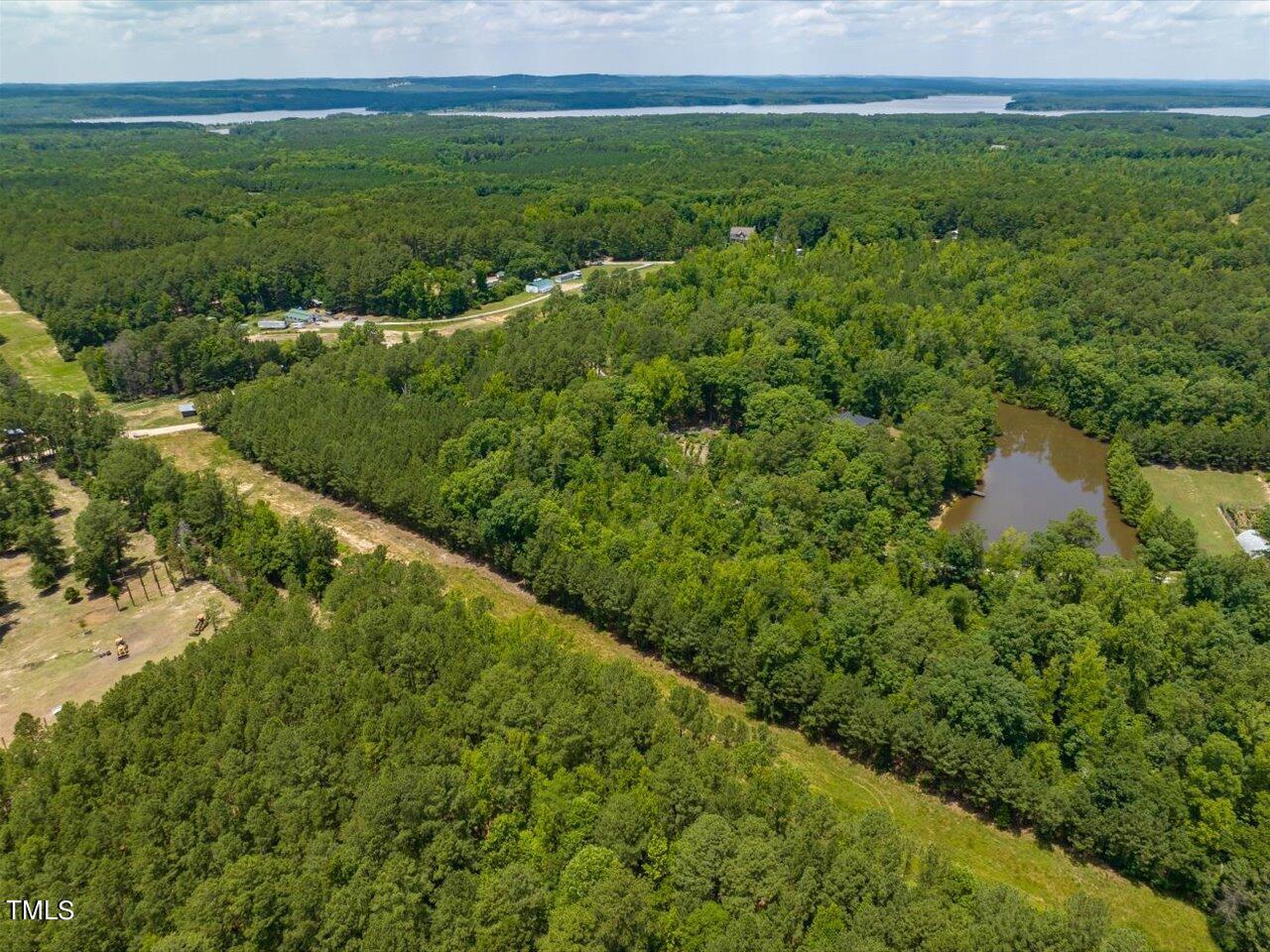 0 J B Morgan Road Apex, NC 27523 - Photo 6 of 39 a view of a lush green forest with lots of trees