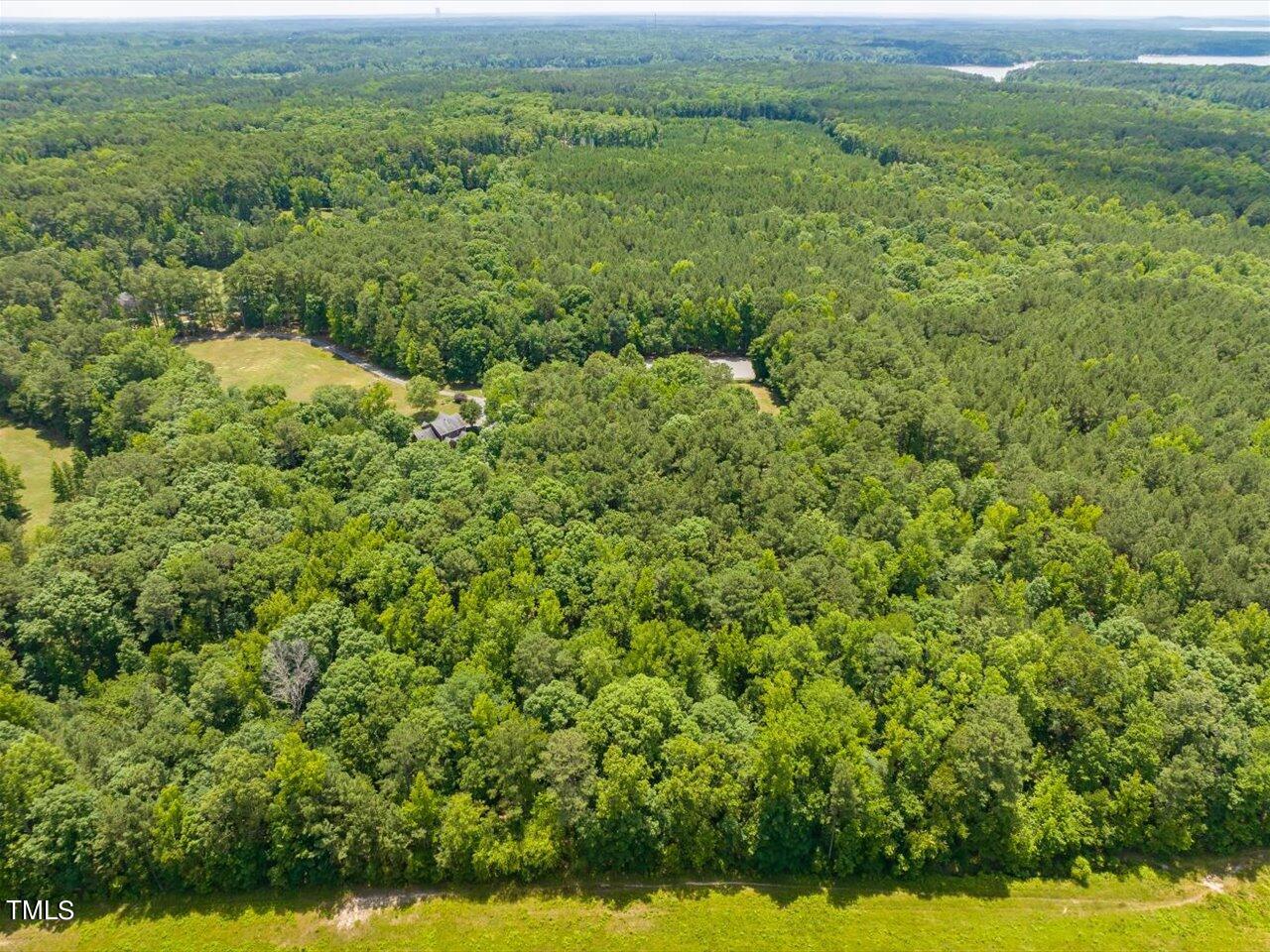 0 J B Morgan Road Apex, NC 27523 - Photo 10 of 39 a view of a green field with lots of bushes