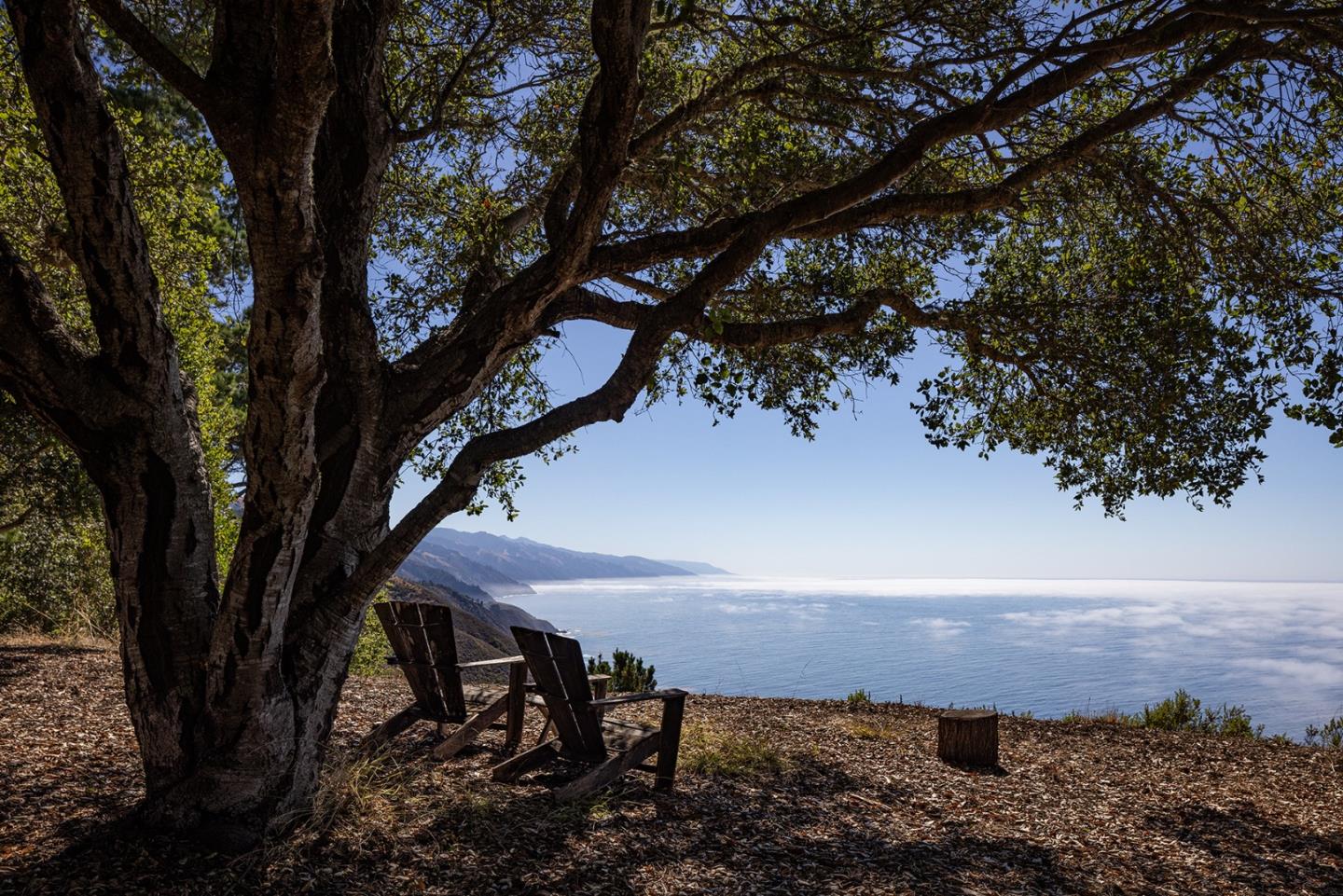 47320 Highway 1 Big Sur, CA 93920 - Photo 24 of 73 a view of a backyard of the house