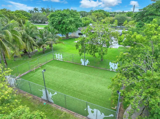a view of a field with potted plants