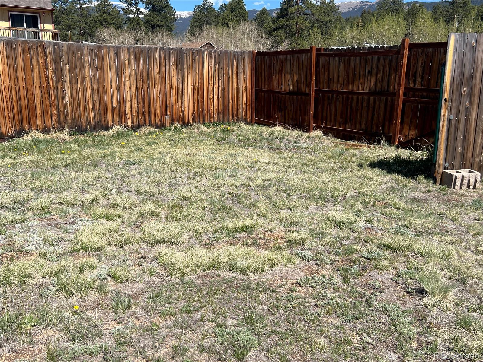 304 Cowan Road Bailey, CO 80421 - Photo 16 of 35 Gallery Image 16
