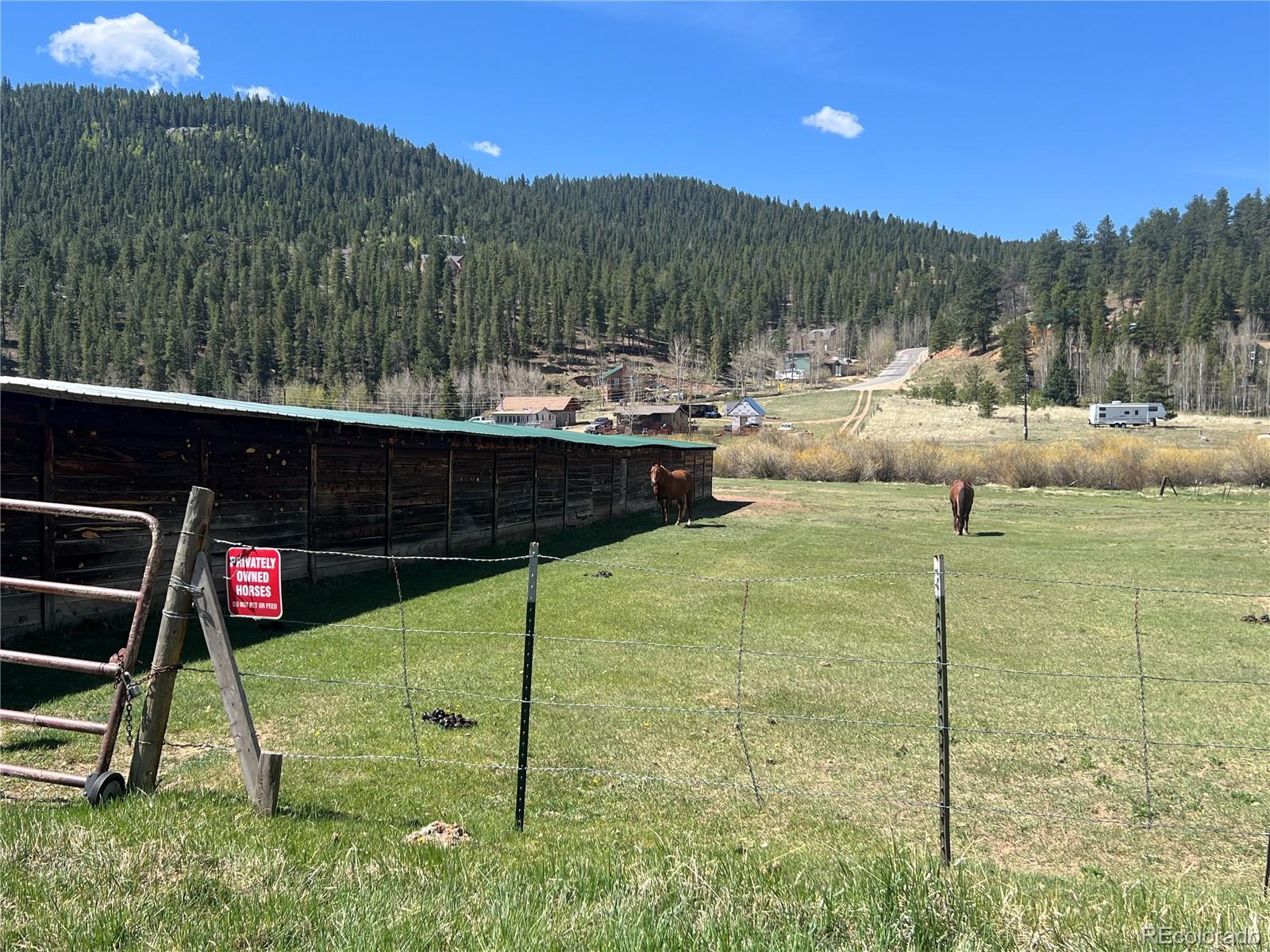 304 Cowan Road Bailey, CO 80421 - Photo 35 of 35 Gallery Image 35