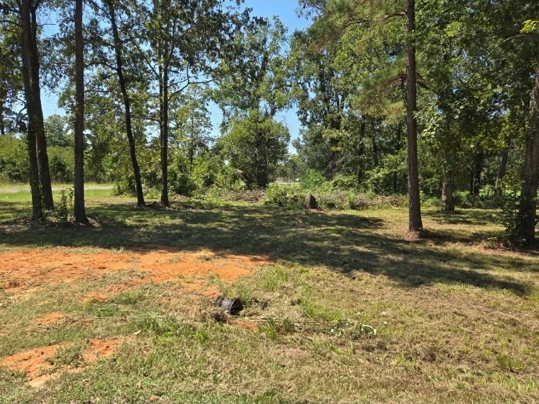 Lot 3 Fm 980 Point South Point Blank, TX 77364 - Photo 4 of 10