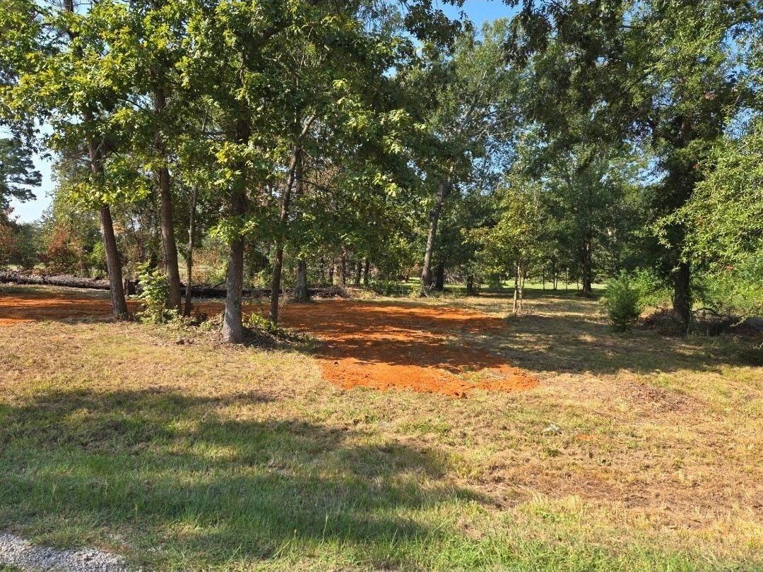 Lot 3 Fm 980 Point South Point Blank, TX 77364 - Photo 7 of 10