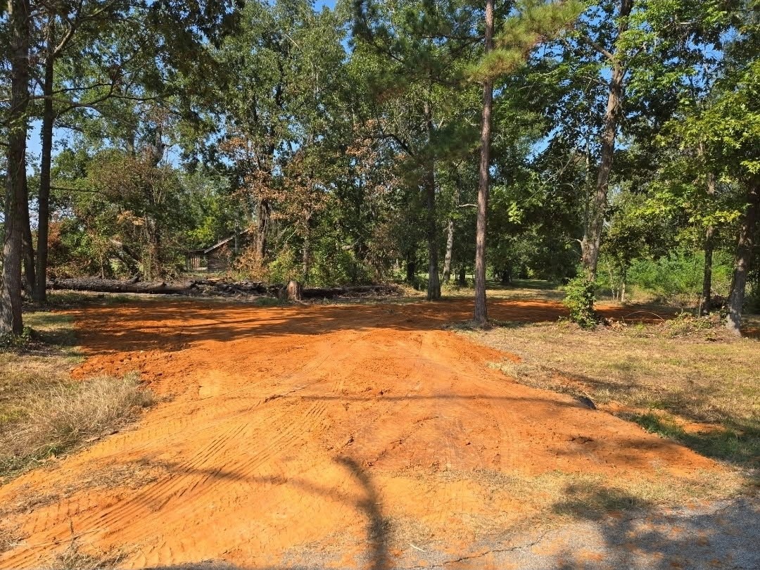 Lot 3 Fm 980 Point South Point Blank, TX 77364 - Photo 8 of 10