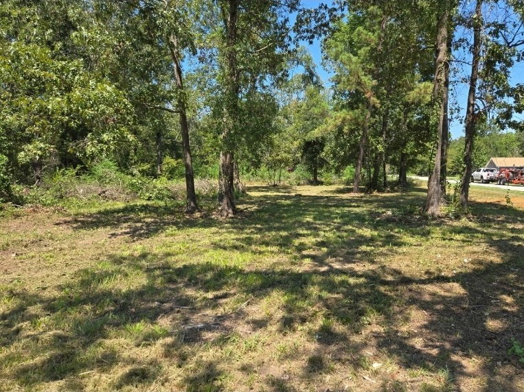 Lot 3 Fm 980 Point South Point Blank, TX 77364 - Photo 9 of 10