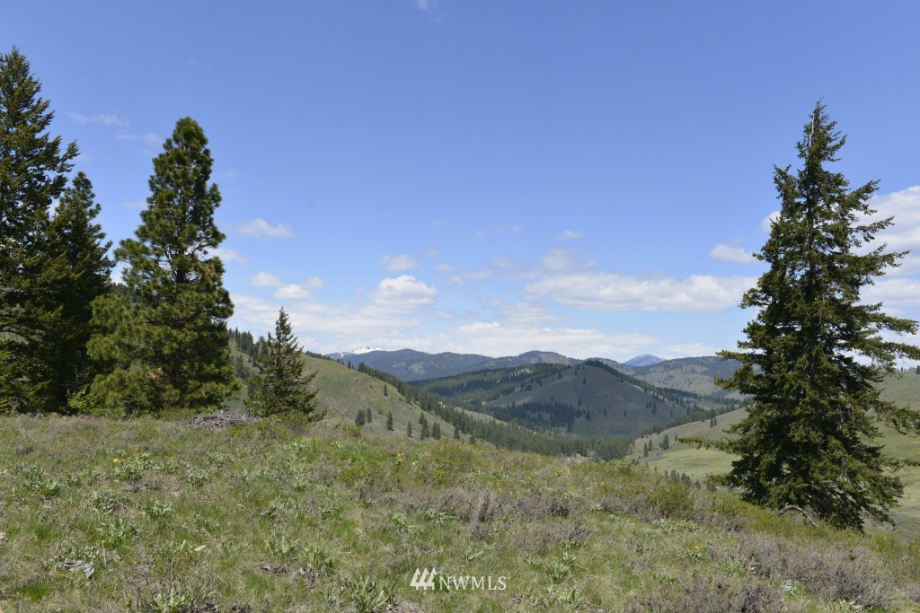 -tbd Rendezvous Road Winthrop, WA 98862 - Photo 1 of 24 Gallery Image 1
