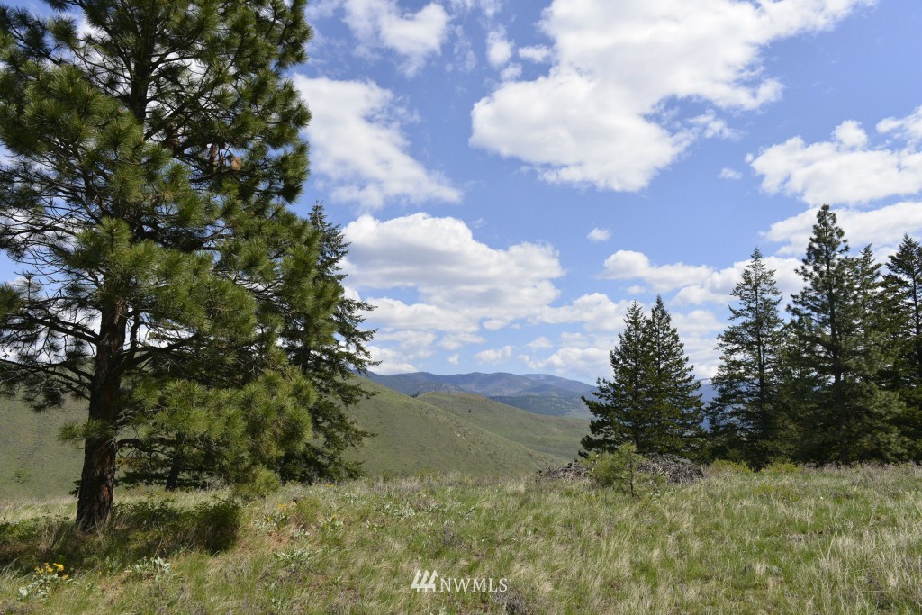 -tbd Rendezvous Road Winthrop, WA 98862 - Photo 2 of 24 Gallery Image 2