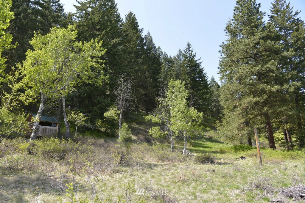 -tbd Rendezvous Road Winthrop, WA 98862 - Photo 11 of 24 Gallery Image 11