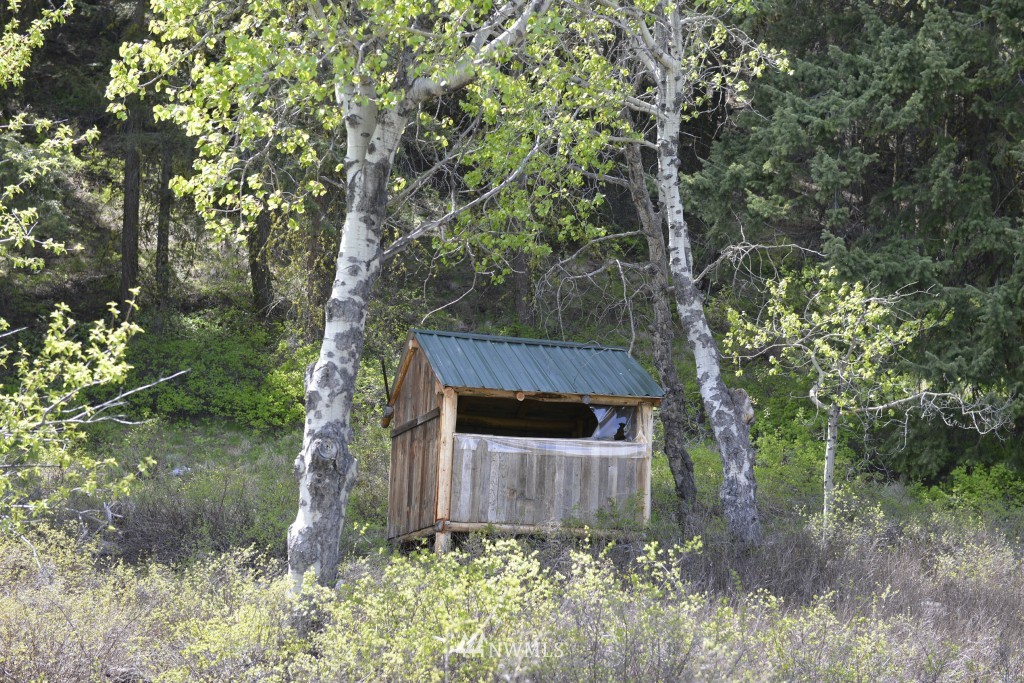 -tbd Rendezvous Road Winthrop, WA 98862 - Photo 12 of 24 Gallery Image 12