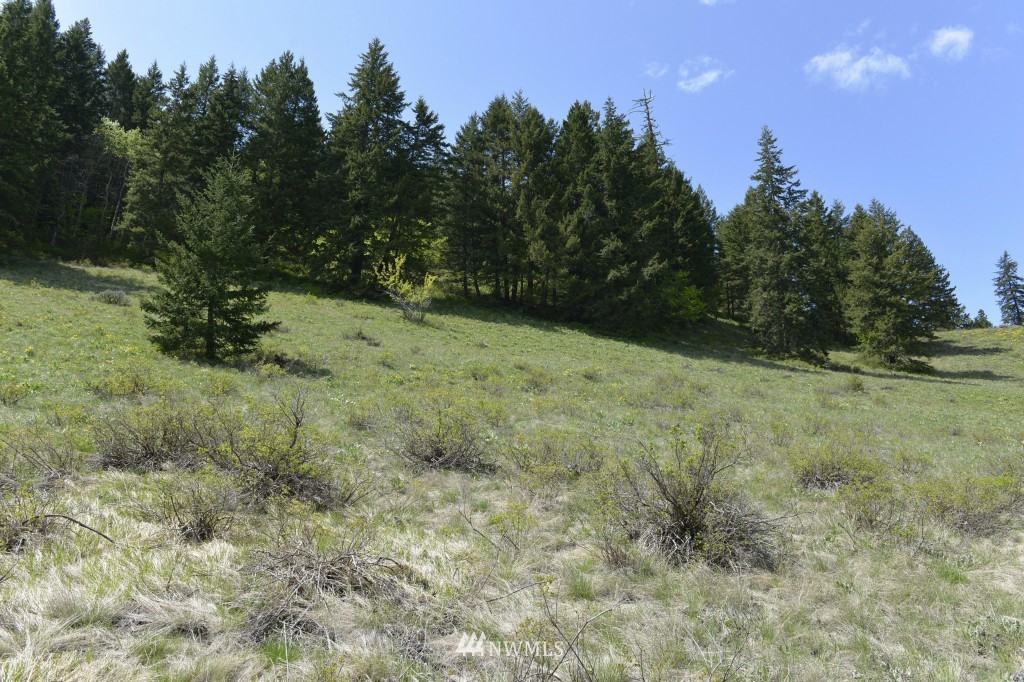 -tbd Rendezvous Road Winthrop, WA 98862 - Photo 14 of 24 Gallery Image 14