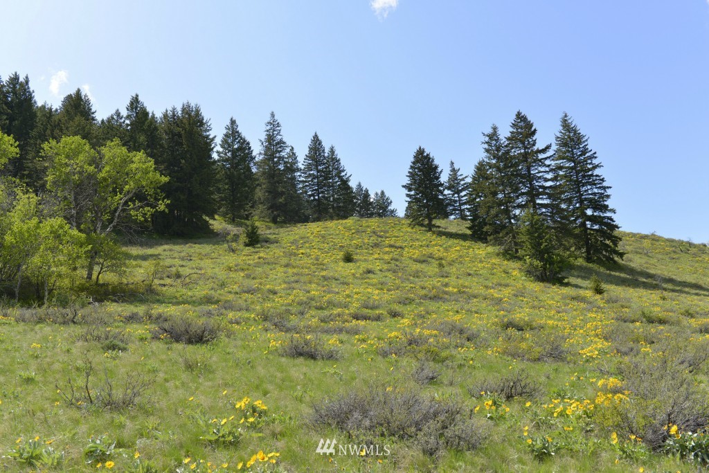 -tbd Rendezvous Road Winthrop, WA 98862 - Photo 15 of 24 Gallery Image 15
