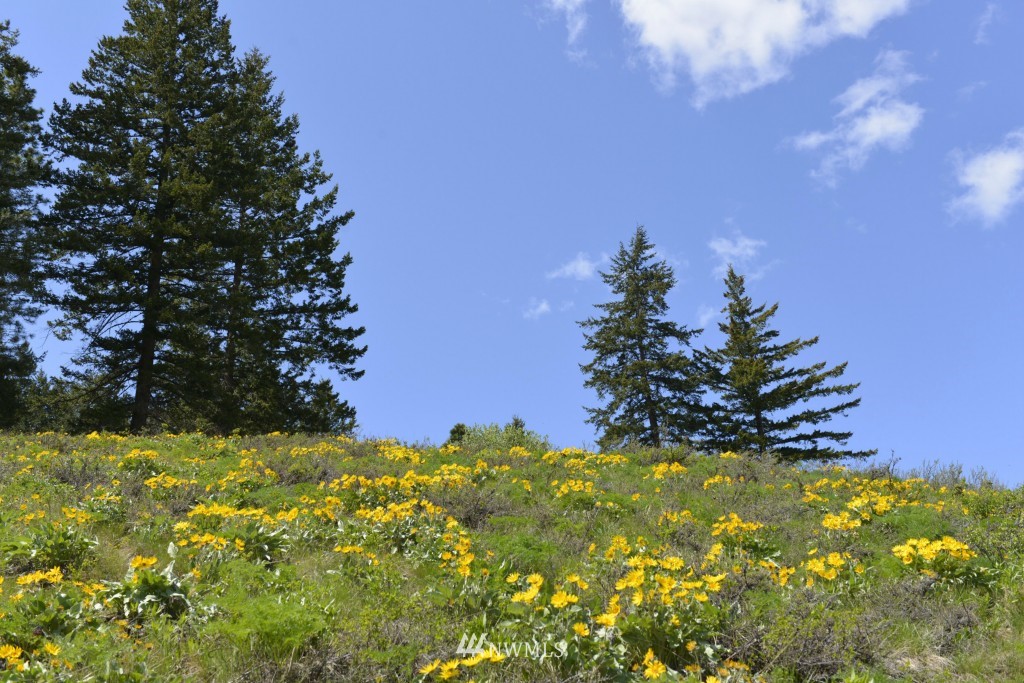 -tbd Rendezvous Road Winthrop, WA 98862 - Photo 16 of 24 Gallery Image 16