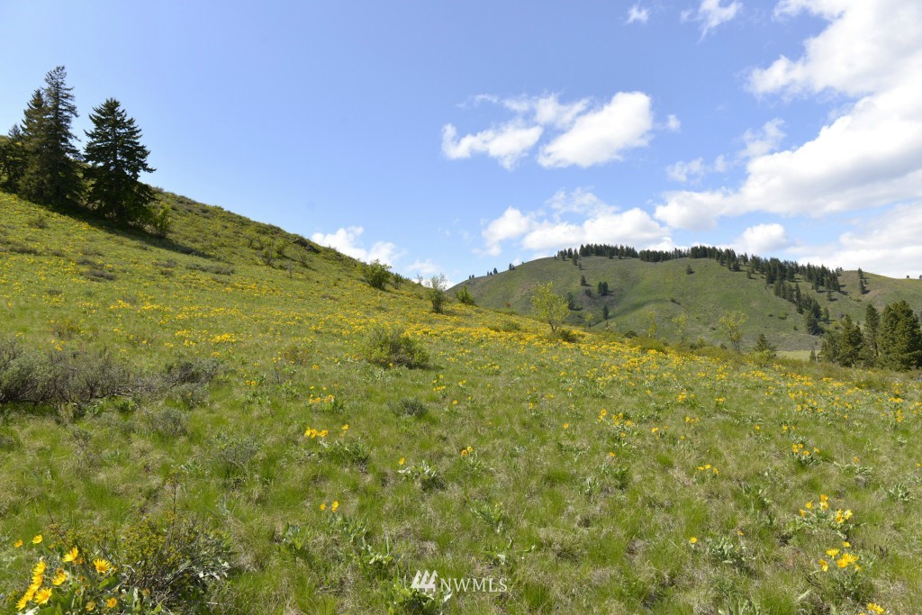-tbd Rendezvous Road Winthrop, WA 98862 - Photo 18 of 24 Gallery Image 18