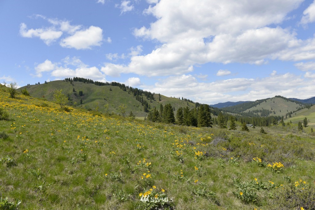 -tbd Rendezvous Road Winthrop, WA 98862 - Photo 19 of 24 Gallery Image 19