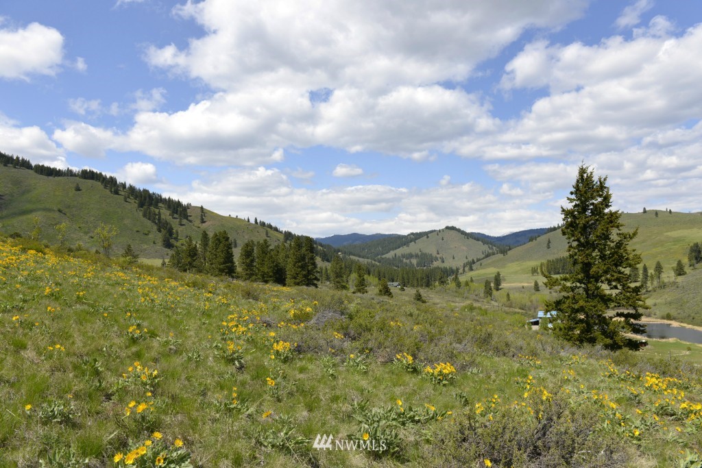 -tbd Rendezvous Road Winthrop, WA 98862 - Photo 20 of 24 Gallery Image 20