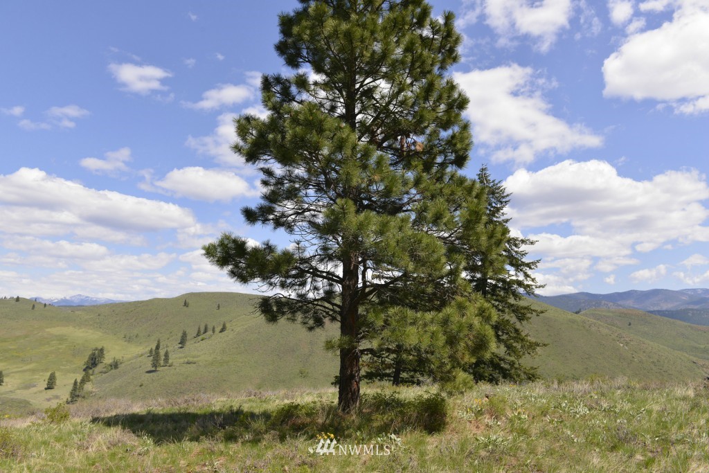 -tbd Rendezvous Road Winthrop, WA 98862 - Photo 3 of 24 Gallery Image 3
