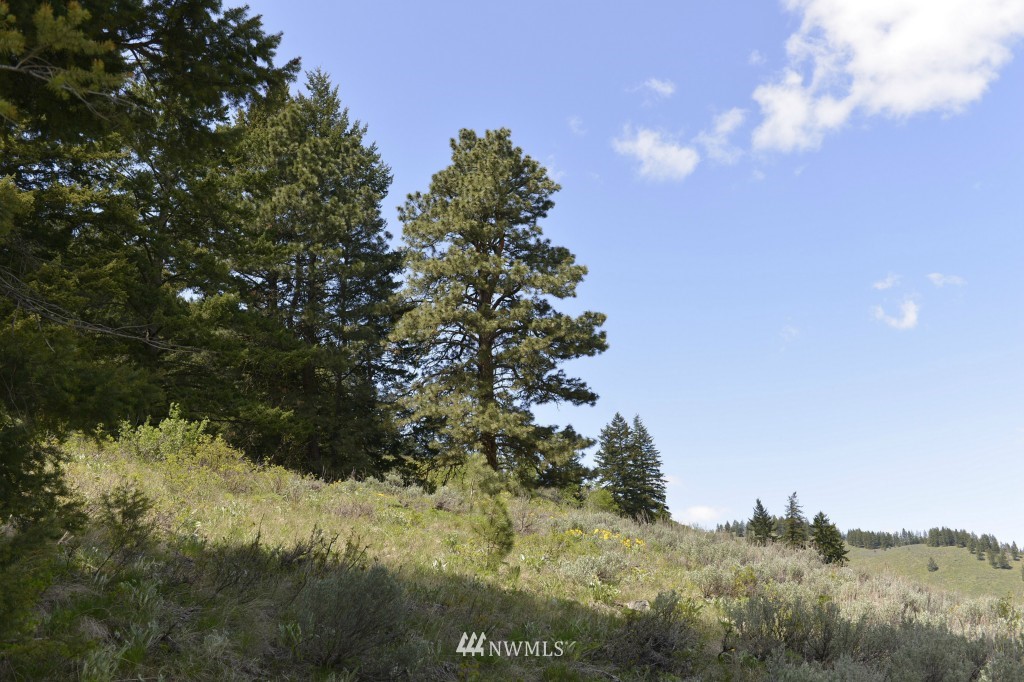 -tbd Rendezvous Road Winthrop, WA 98862 - Photo 21 of 24 Gallery Image 21