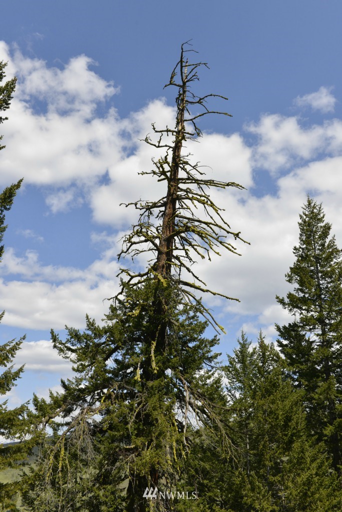 -tbd Rendezvous Road Winthrop, WA 98862 - Photo 22 of 24 Gallery Image 22