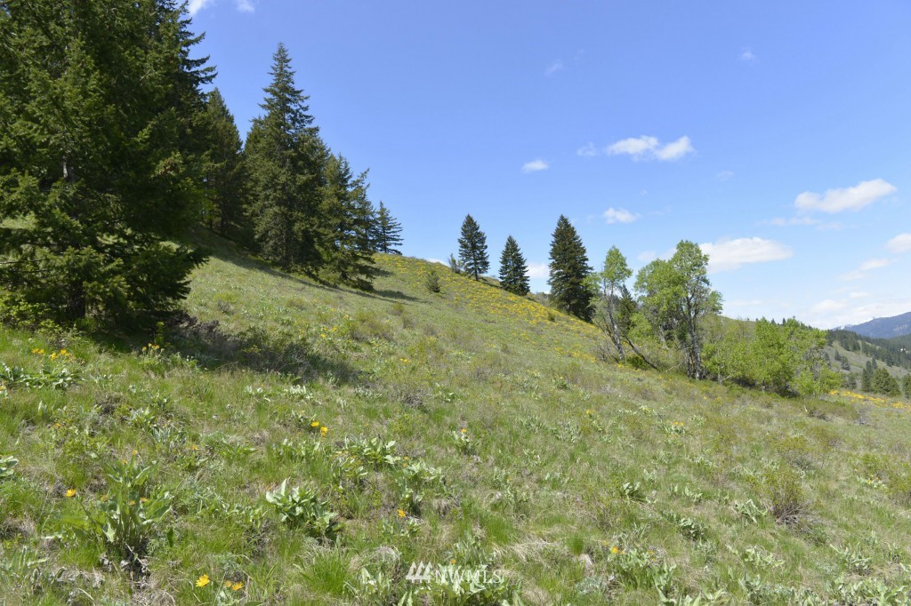 -tbd Rendezvous Road Winthrop, WA 98862 - Photo 23 of 24 Gallery Image 23