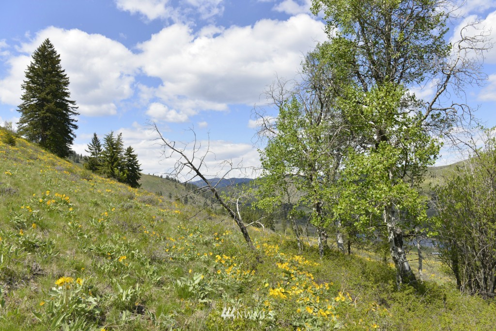 -tbd Rendezvous Road Winthrop, WA 98862 - Photo 24 of 24 Gallery Image 24