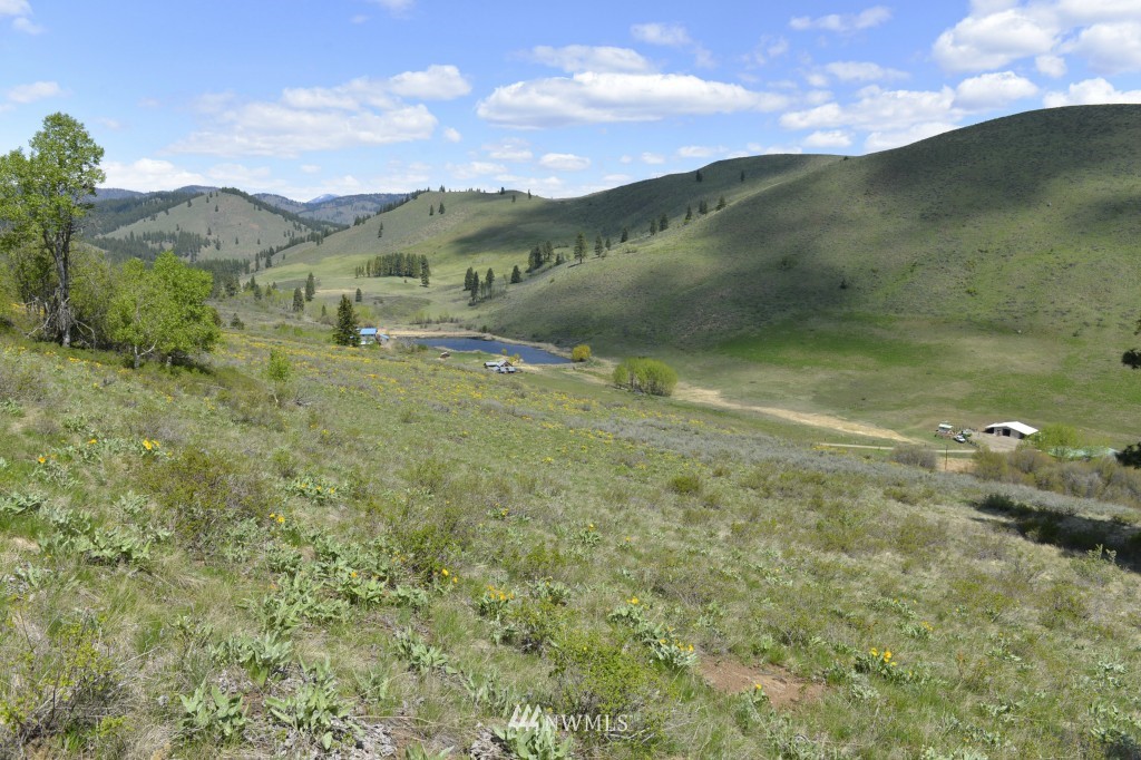 -tbd Rendezvous Road Winthrop, WA 98862 - Photo 6 of 24 Gallery Image 6