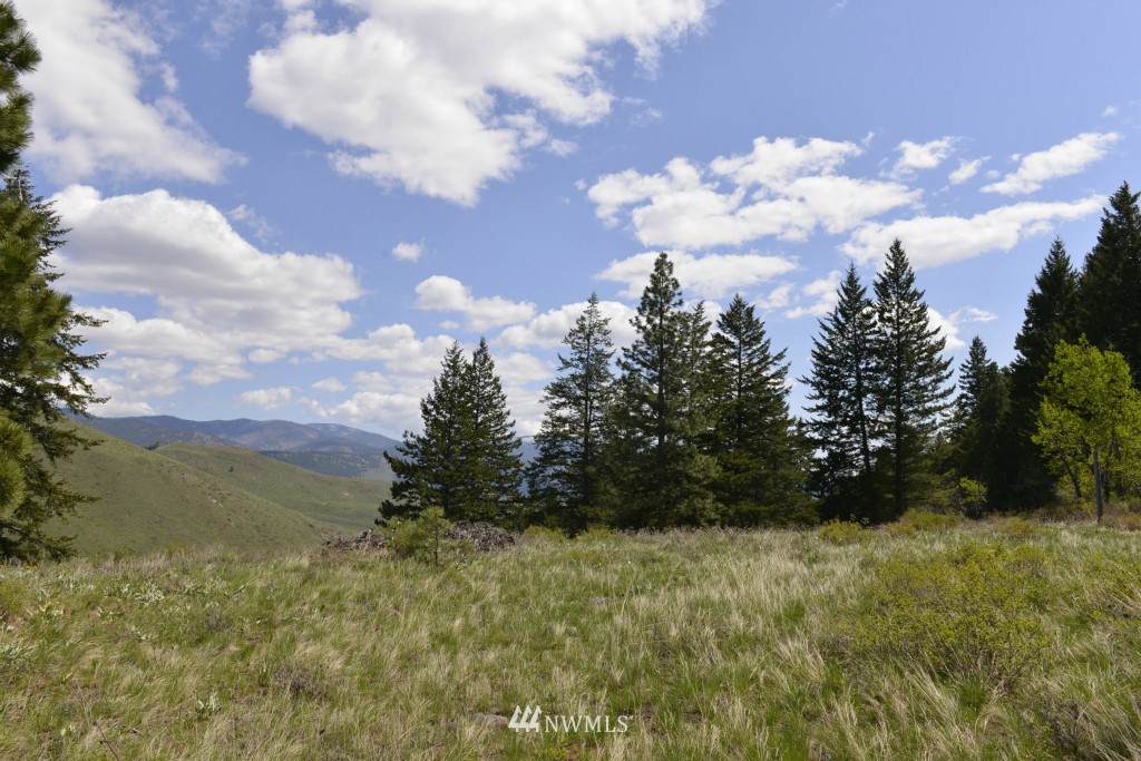 -tbd Rendezvous Road Winthrop, WA 98862 - Photo 7 of 24 Gallery Image 7