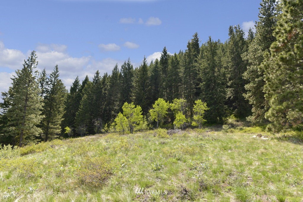 -tbd Rendezvous Road Winthrop, WA 98862 - Photo 8 of 24 Gallery Image 8