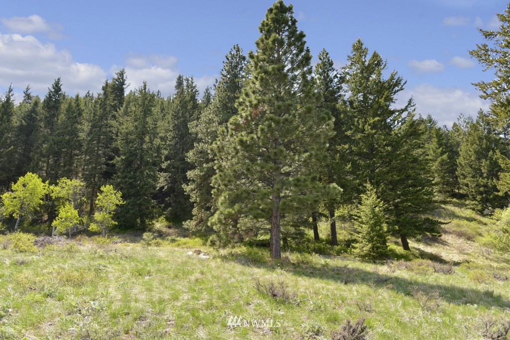 -tbd Rendezvous Road Winthrop, WA 98862 - Photo 9 of 24 Gallery Image 9