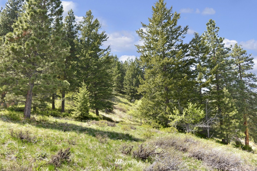 -tbd Rendezvous Road Winthrop, WA 98862 - Photo 10 of 24 Gallery Image 10