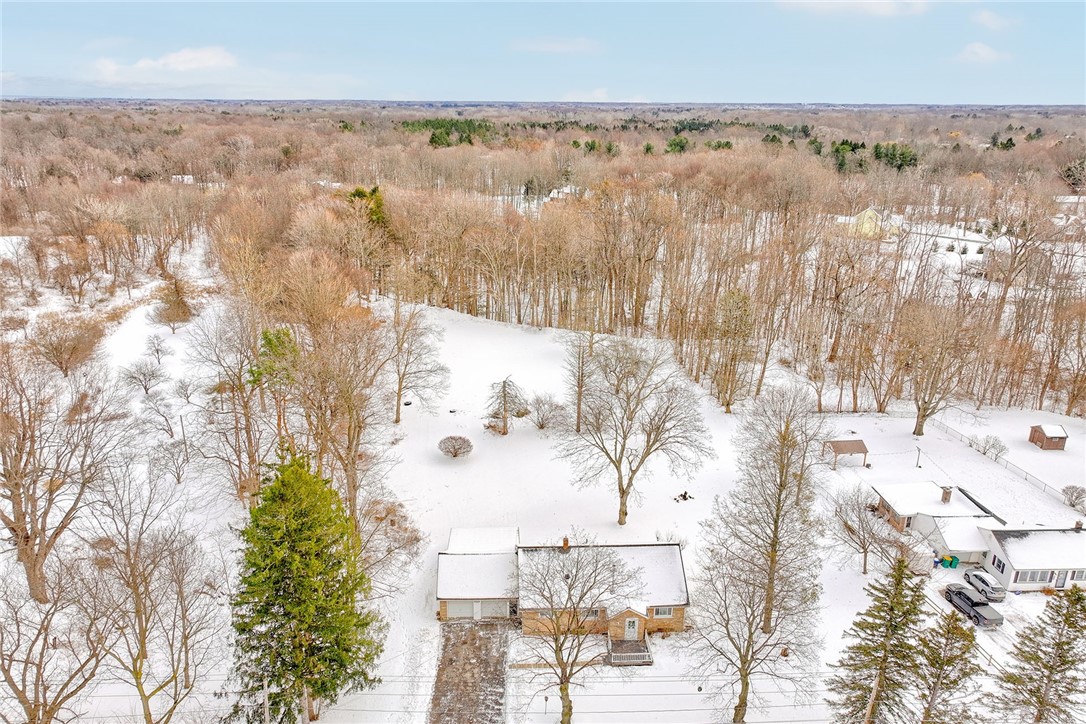 528 Whiting Road Webster, NY 14580 - Photo 42 of 50 AERIAL VIEW