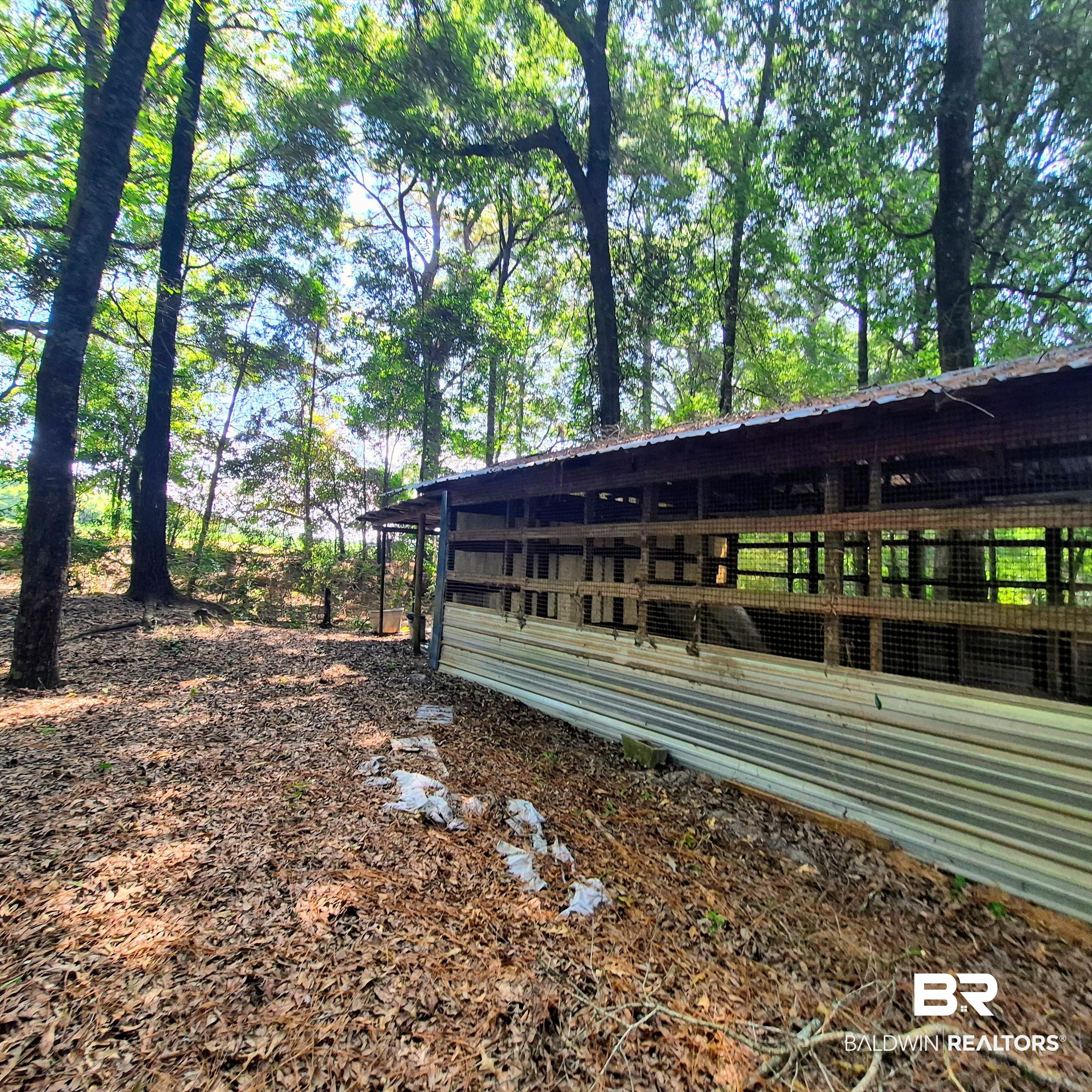 28080 Jim Foshee Road Red Level, AL 36474 - Photo 42 of 54 Gallery Image 42