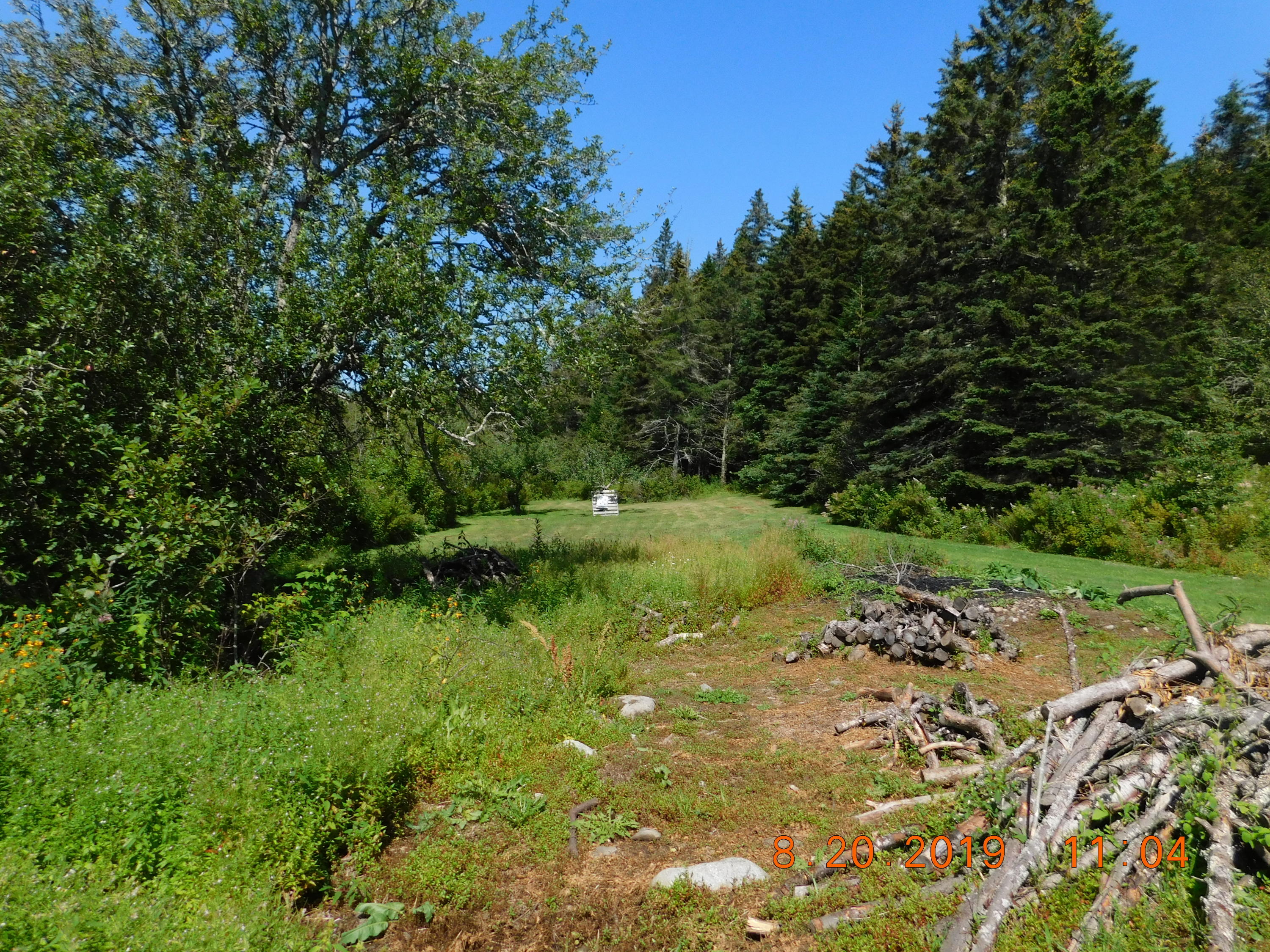 2404 Cutler Road Cutler, ME 04626 - Photo 9 of 31 DSCN1432