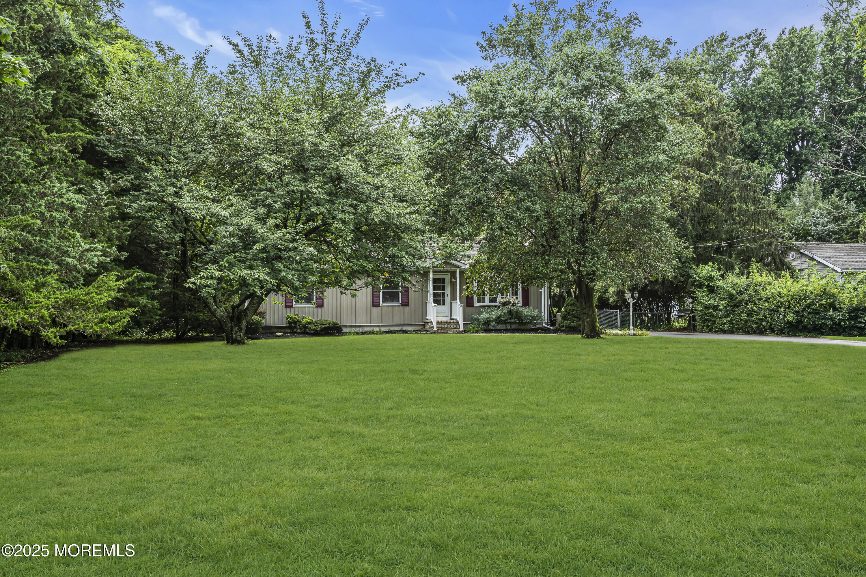 444 Cook Road Jackson, NJ 08527 - Photo 59 of 71 a view of a trees in a yard