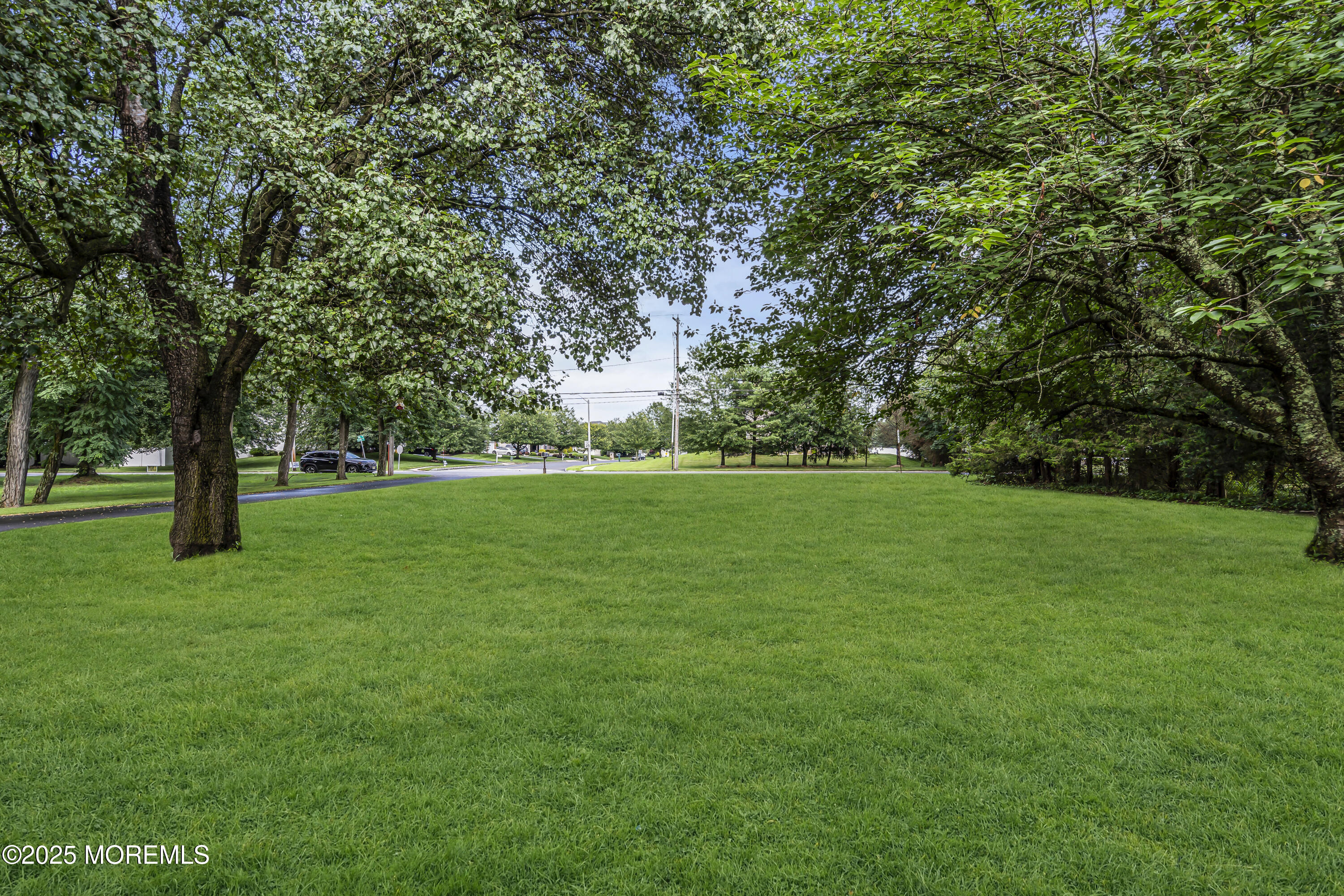 444 Cook Road Jackson, NJ 08527 - Photo 60 of 71 a view of green field with trees in the background