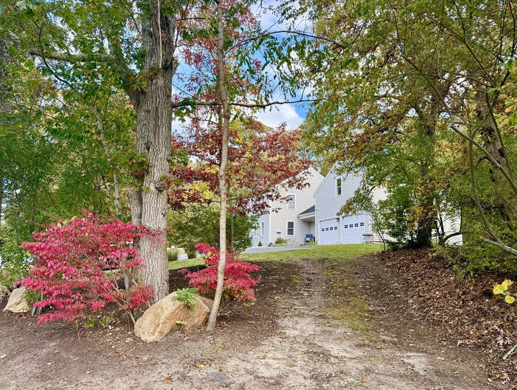 117 A P Newcomb Road Brewster, MA 02631 - Photo 6 of 42 a view of a yard with a tree and a bench
