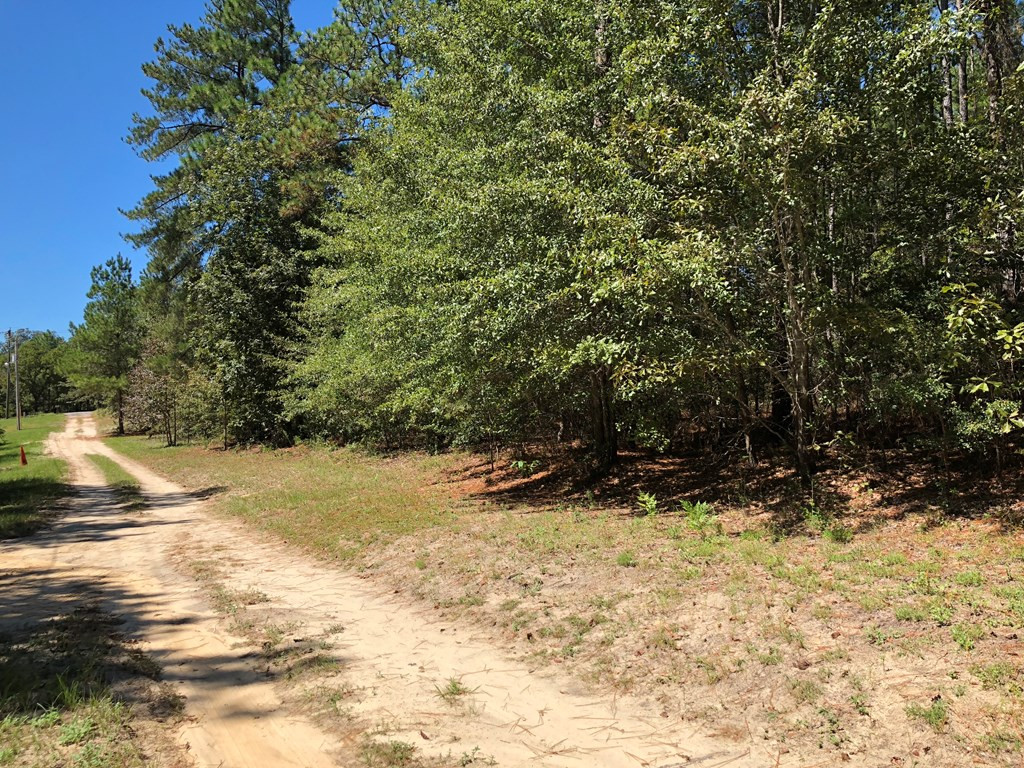 956 Rainbow Falls Road Graniteville, SC 29829 - Photo 2 of 3 Gallery Image 2