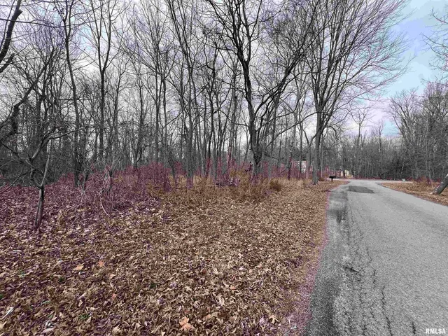 a view of a yard with trees