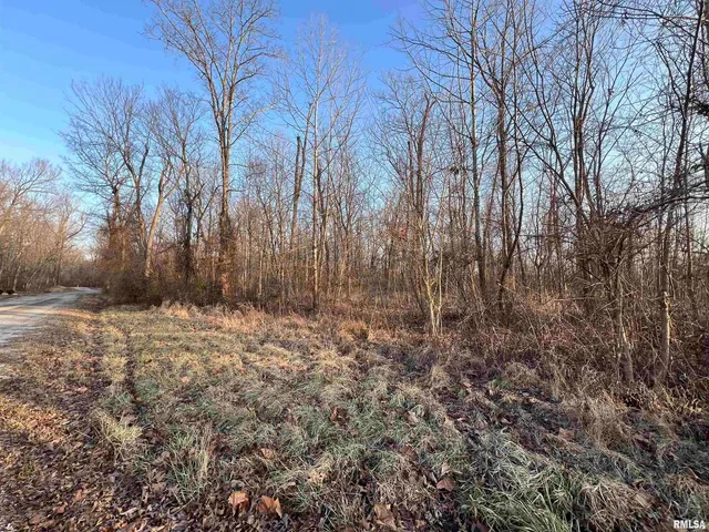 a view of a yard with trees