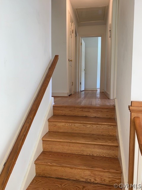 3616 Whitewood Road Richmond, VA 23235 - Photo 17 of 24 Gallery Image 17