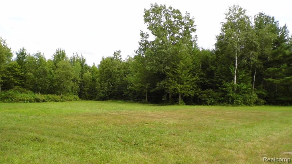 0 South Murray Road Caro, MI 48723 - Photo 2 of 14