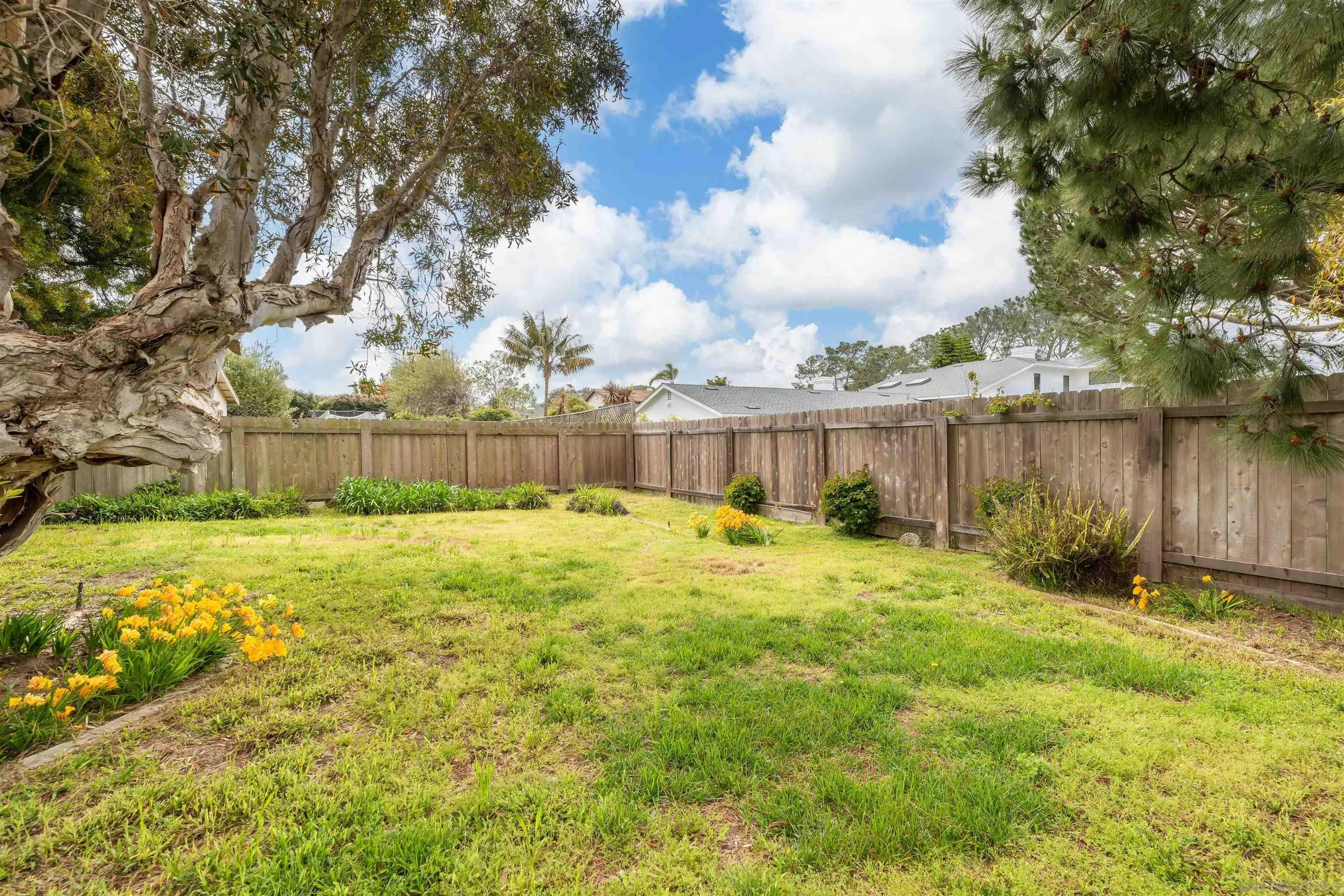 13766 Durango Drive Del Mar, CA 92014 - Photo 18 of 30 a view of a swimming pool with a big yard and large tree