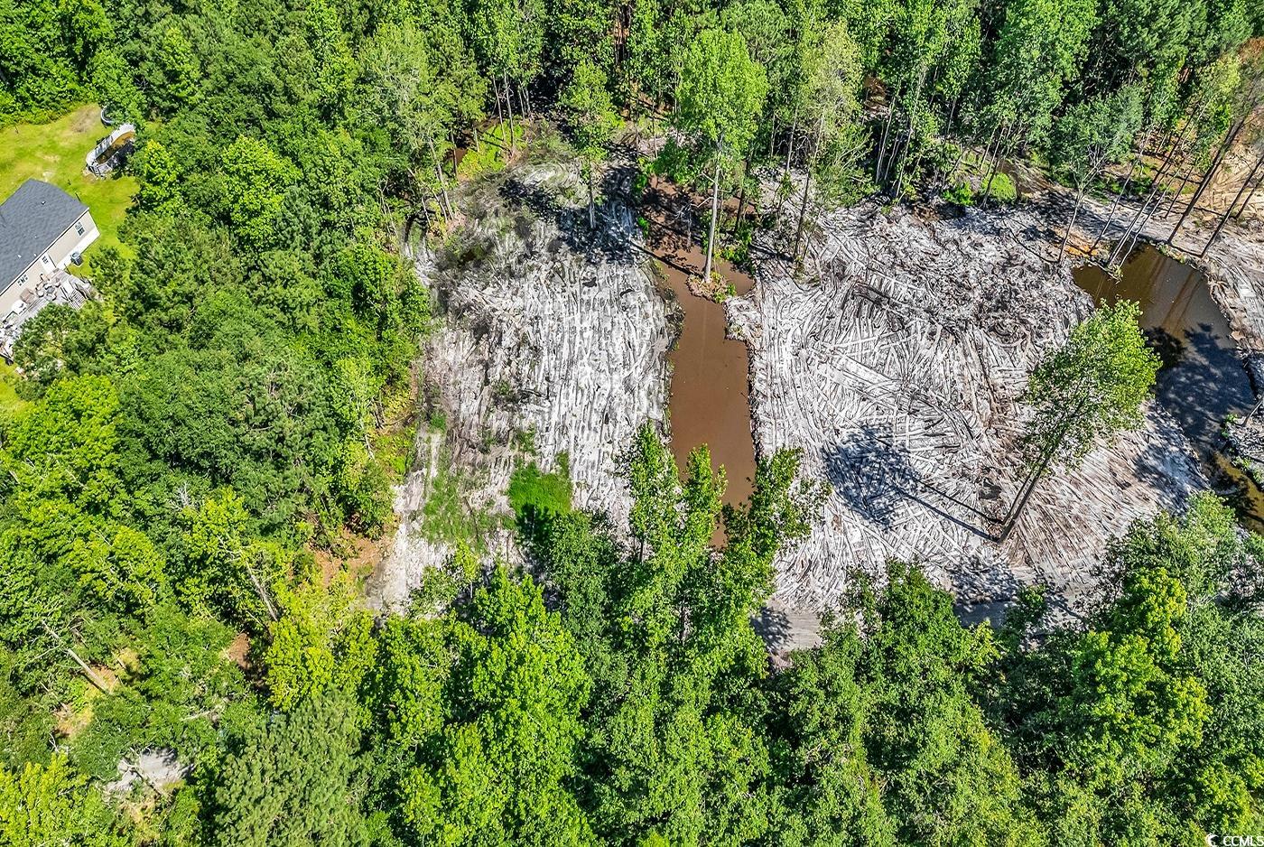 Lot 1 Coats Road Loris, SC 29569 - Photo 3 of 9