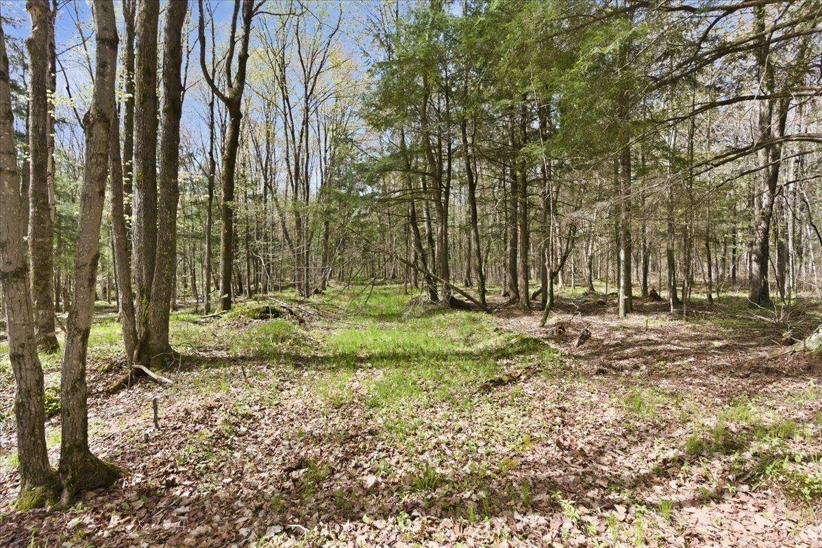W585 Strucker Road Ogema, WI 54459 - Photo 25 of 55