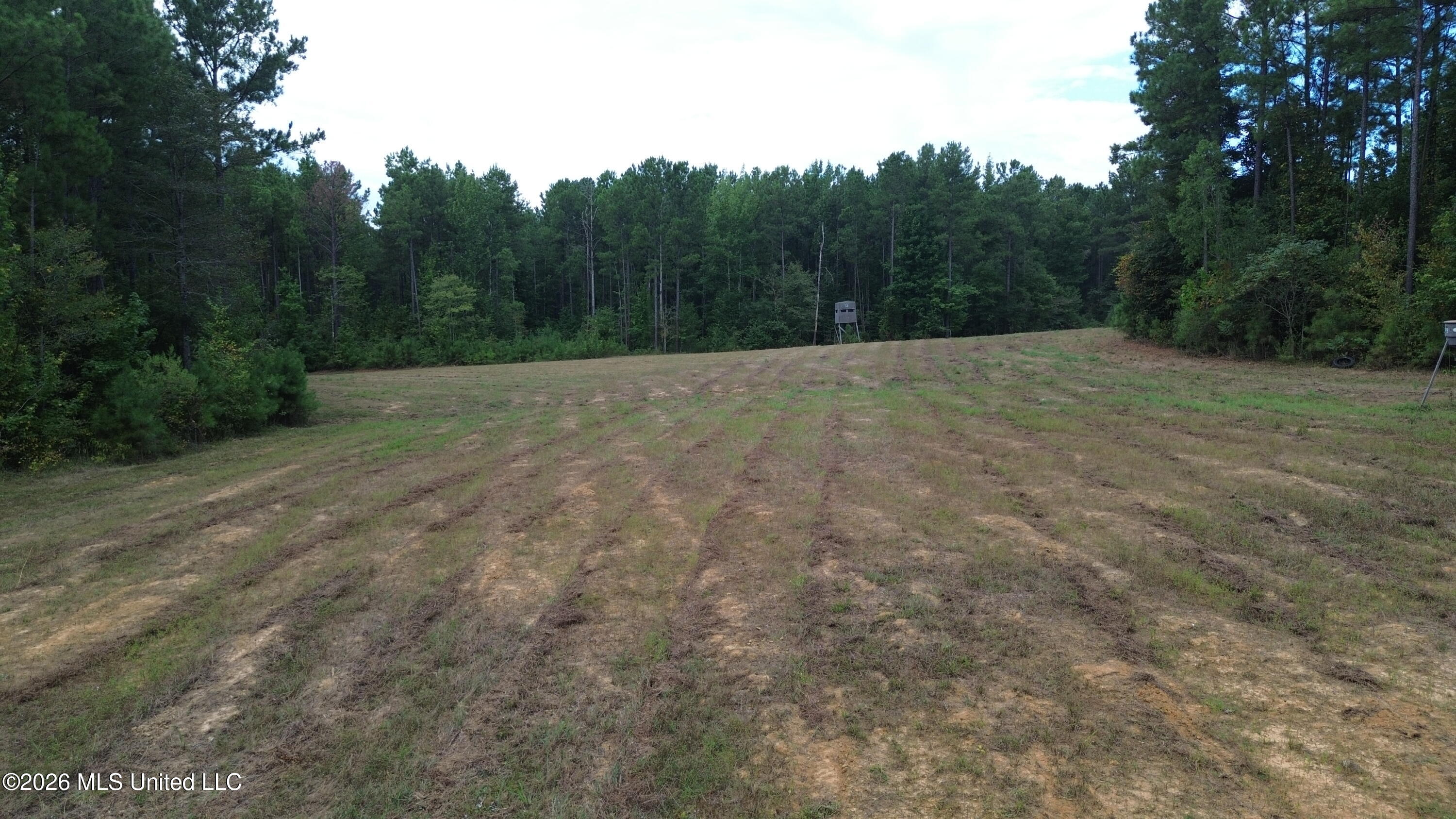 11330 Ms-429 Carthage, MS 39051 - Photo 54 of 128 DJI_0602