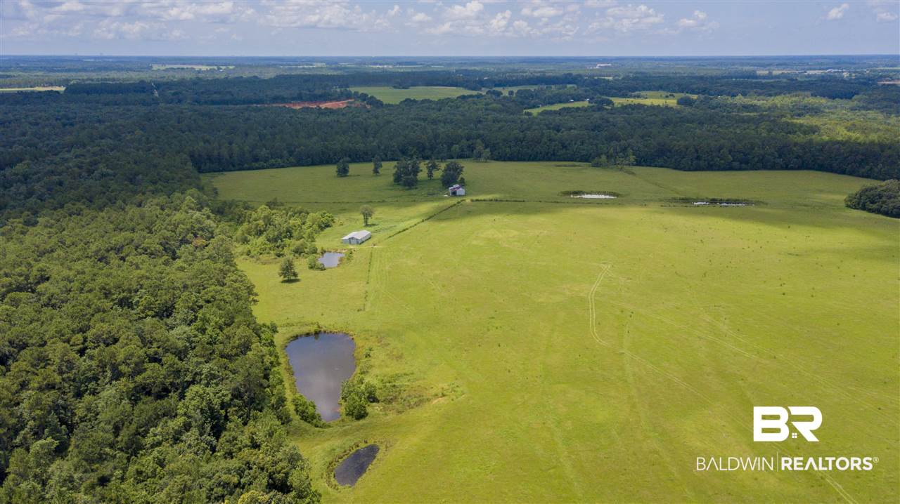 22290 Oak Tree Lane Robertsdale, AL 36567 - Photo 8 of 37